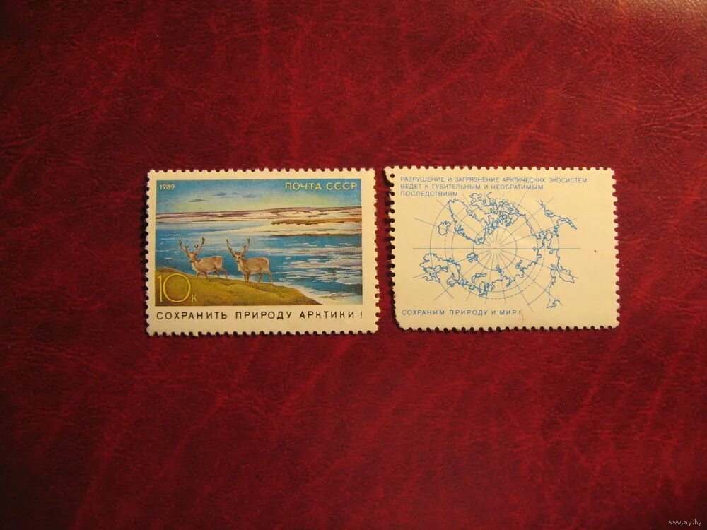 марки ссср членские взносы. ульбрихт вальтер марка. кооперативная паевая марка центросоюз. купить марку болгария химический комбинат свищов. марка молодечно.