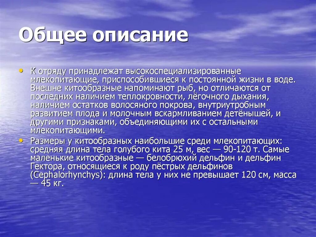 Значение китообразных в жизни человека. Китообразные волосяной Покров. Значение китообразных в природе и жизни человека. Внешние воды. Высокоспециализированная вода.