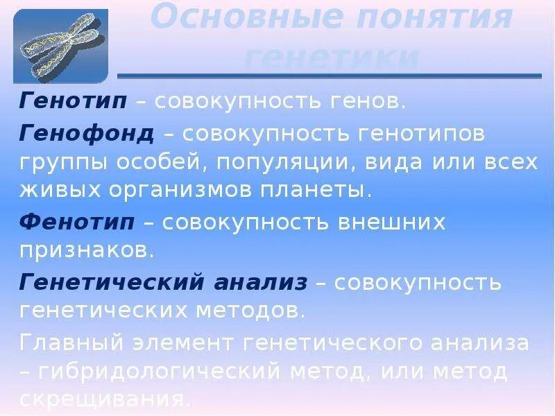 Генотип фенотип генофонд. Генотип геном генофонд. Понятие о генофонде. Основные понятия генетики.