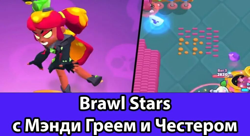 Brawl stars новая версия 54.243. Brawl Stars Мэнди. Менди из БРАВЛ старса. Честер Браво старс. Грей Brawl Stars.