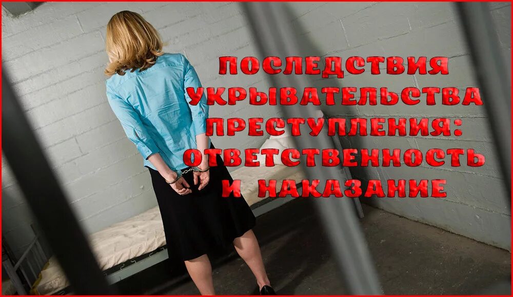 Сокрытие информации о преступлении. Укрывательство преступлений. сокрытие преступления. укрывательство преступления ук рф. укрытие преступления статья.