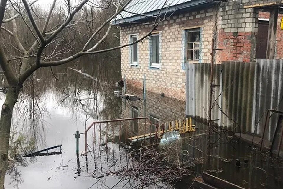 Паводок в брянске сегодня 2024. Наводнение в городе. Паводок. Затопление приусадебного участка. Затопленный дом.