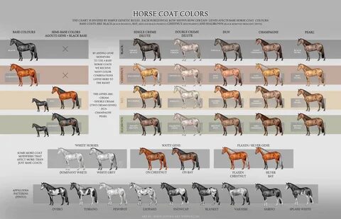 Таблица коней