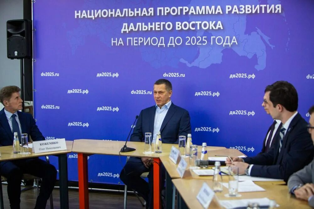 Проект по развитию дальнего востока. Программа развития дальнего востока. национальная программа развития дальнего востока. программа по дальнему востоку. перспективы развития дальнего востока.