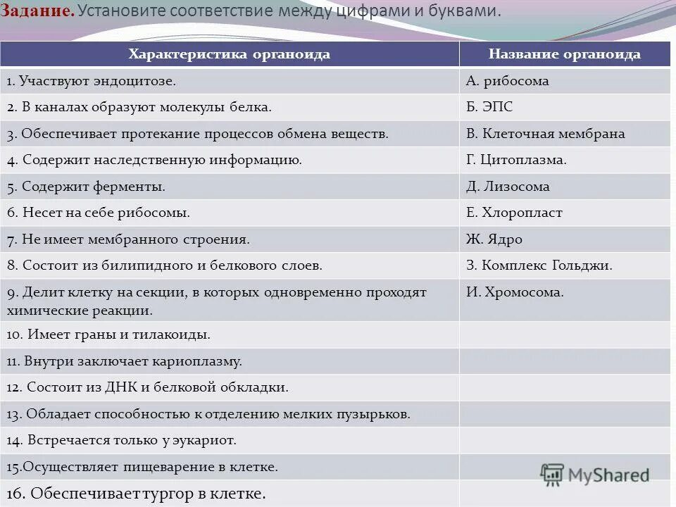 Установите соответствие механика. Мужественность и женственность. Цели организации, их характеристика. Между организационно-правовыми формами и видами юридических лиц. Установите соответствие характеристик целей.