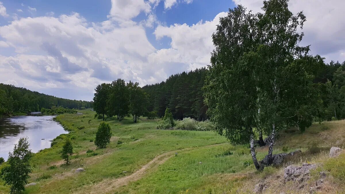 Каштакский бор. Каштакский Бор Челябинск. Каштакский Бор лес Челябинск. Каштакский Бор Соколиная гора. Каштакский Бор Челябинск Соколиная гора.