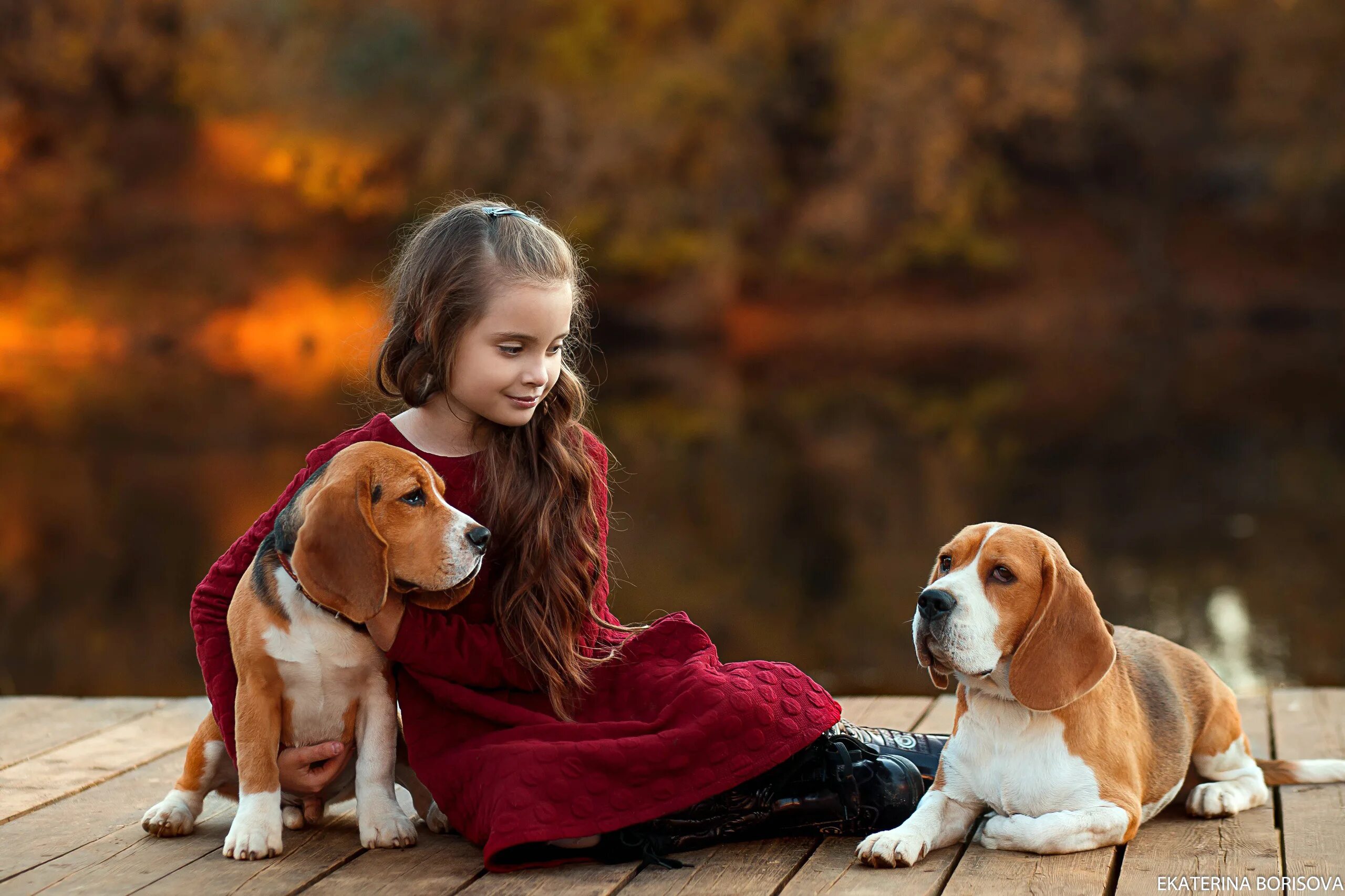 женщина с собачкой. фотосессия девушка с собакой. детская фотосессия с собакой. девушка с собакой. девушка с собакой.