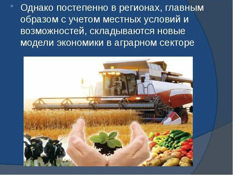 Преобладает аграрный аграрный. Аграрное общество это традиционное общество. Аграрная страны аграрная структура. Аграрное общество это традиционное общество. Преобладание экстенсивной технологии.