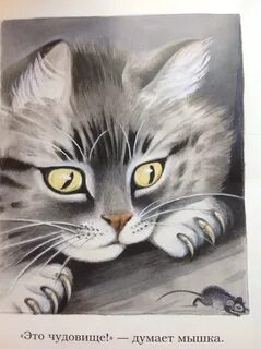 Федин котенок