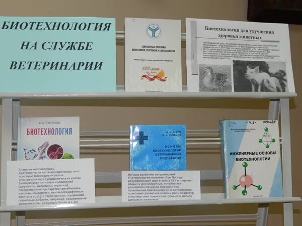 Ветеринарные службы красноярского края. Служба ветеринарии Ивановской области. Ветеринарная биотехнология. Биотехнология в ветеринарии.