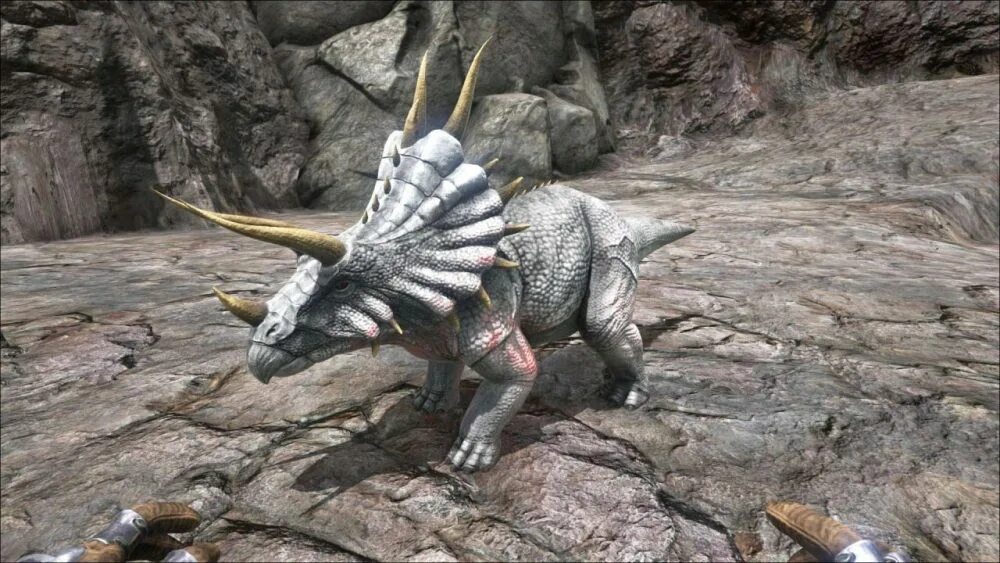 Ark трицератопс. Трицератопс арк сурвайвал. магмазавр арк. трайк арк. ark survival evolved трицератопс.
