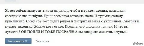 Придется пока
