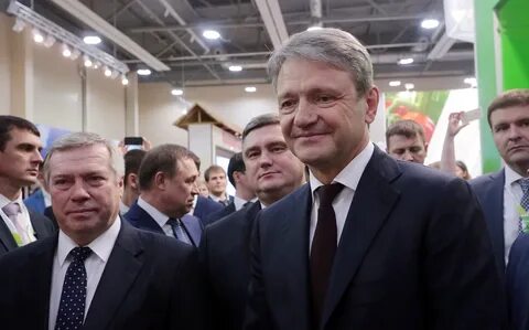 Ткачева тендеры