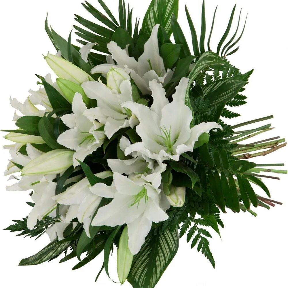 Stargazer Lily Bouquets ProFlowers Flower arrangements, Flowers bouquet, Stargaz