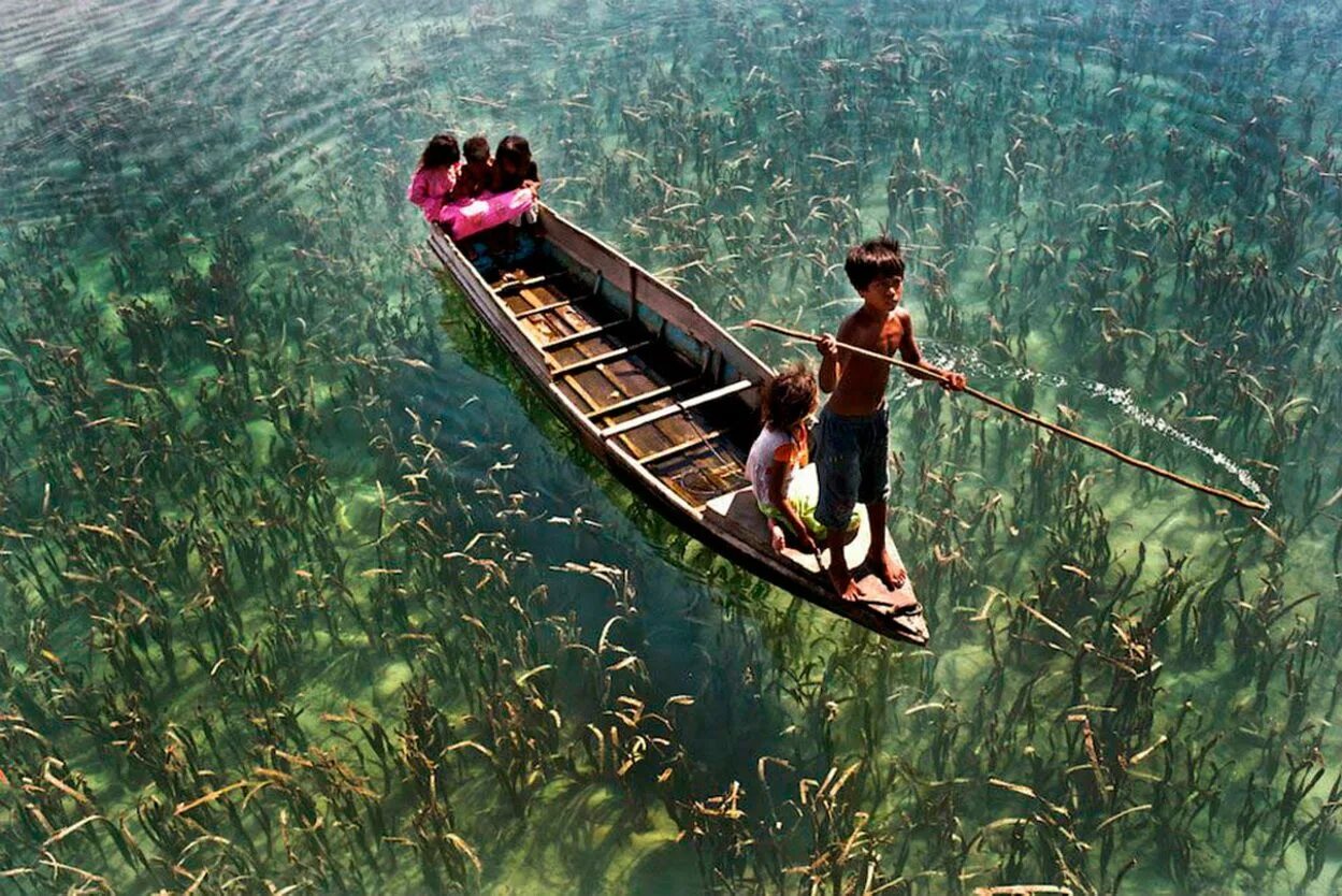 Кристально чистое озеро. Озеро в Сабахе, Малайзия. Прозрачное озеро. Человек в лодке. Озеро с кристально чистой водой.