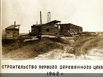 Котельный бийск