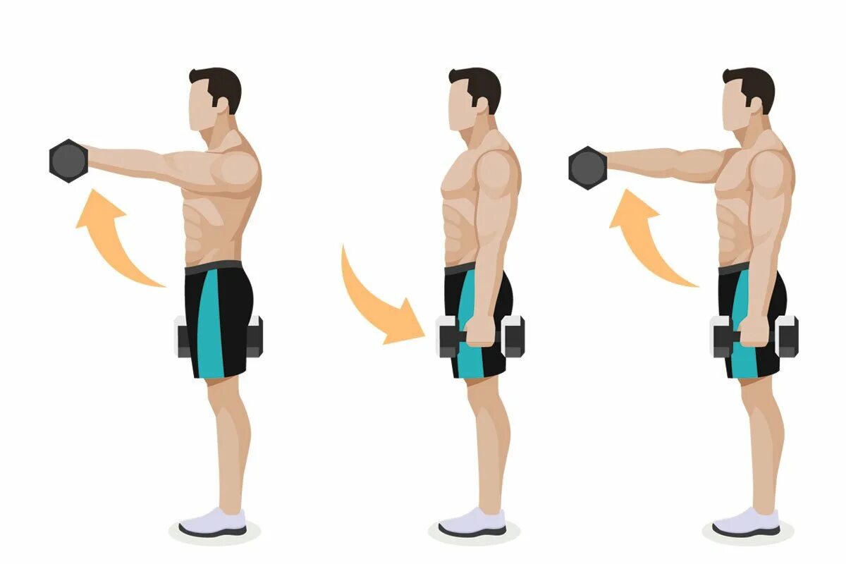 Подъем рук с гантелями. Подъем гантелей перед собой на плечи. Подъем гантелей перед собой стоя. Подъем гантелей перед собой стоя техника. Подъем гантелей вперед попеременно.