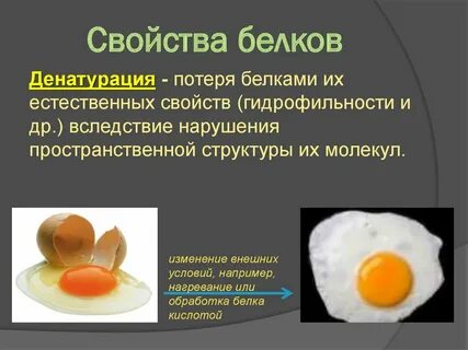 Белок при нагревании