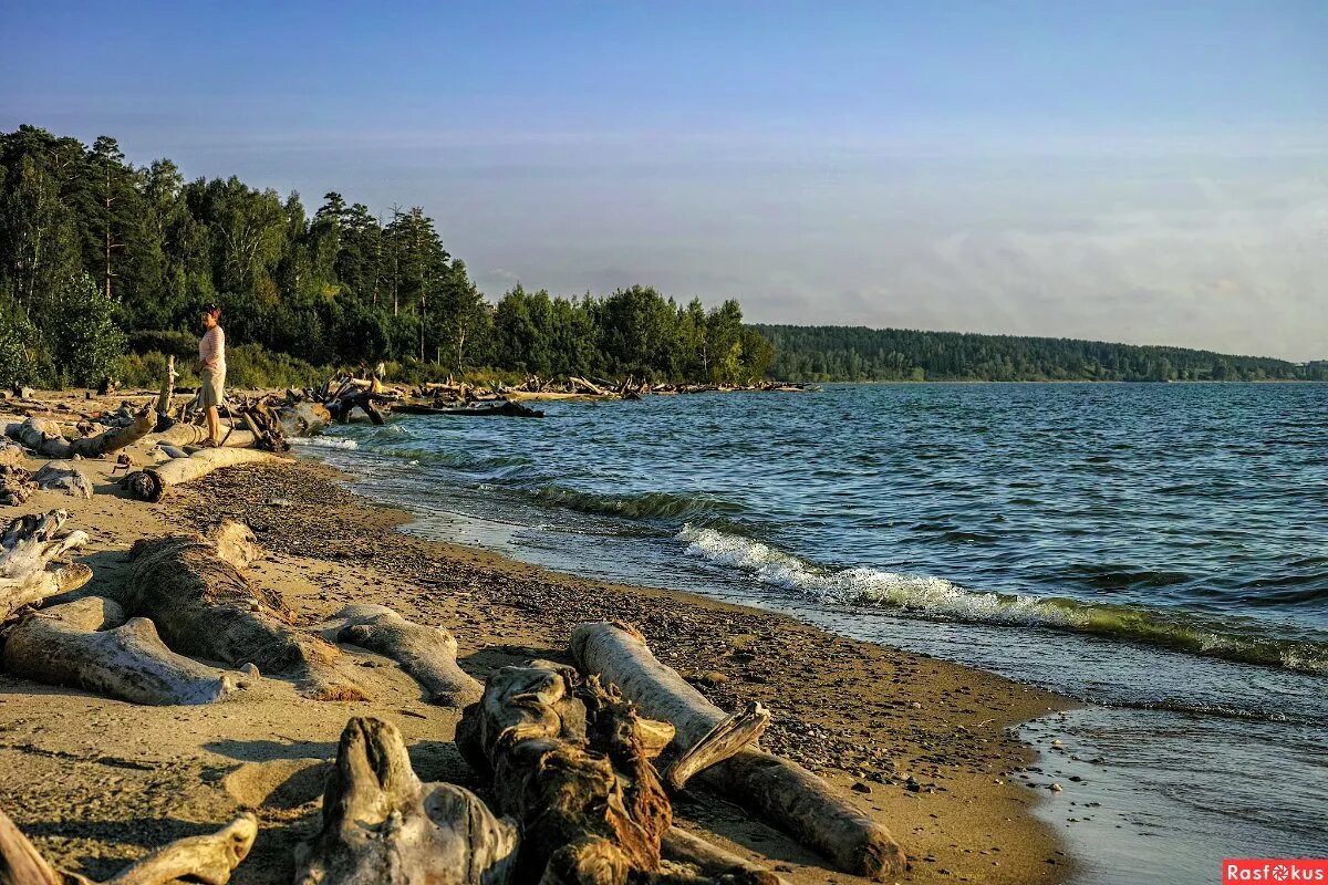 Обское водохранилище Новосибирск. Берег Обского моря Новосибирск. Обское водохранилище пляж Бердск. Море Обь в Новосибирске. Обь отдых