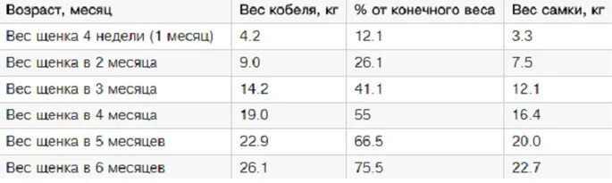 Вес щенка немецкой овчарки в 5 месяцев. Вес щенка немецкой овчарки в 2 месяца. Вес щенка немецкой овчарки в 1 месяц. Вес щенка немецкой овчарки в 7 месяцев.