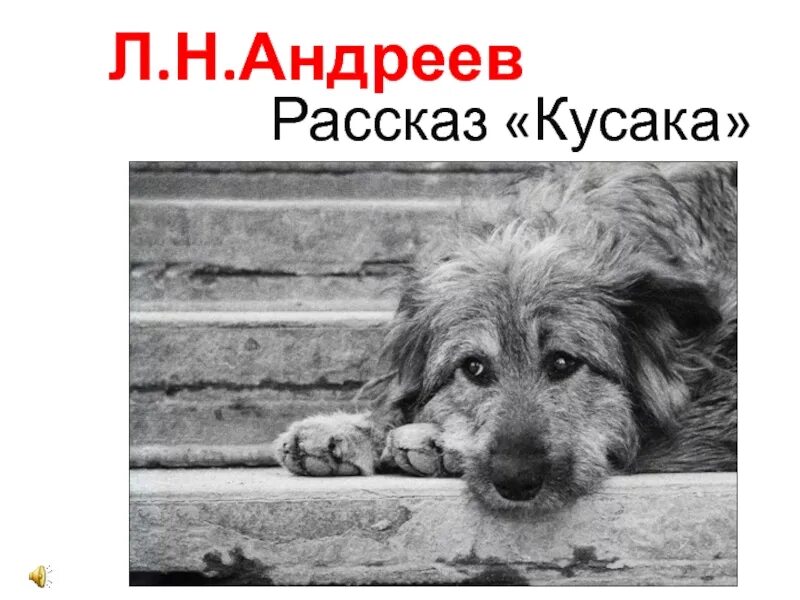 Всей своей собачьей душой расцвела кусака определите