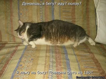Проснулся с боку на бок повернулся
