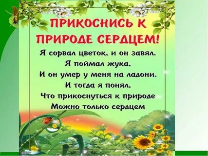 Прикоснись к чистому