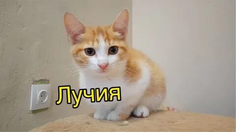 Точнее даже