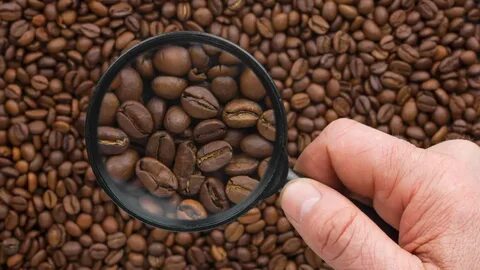 Order Coffee Beans Online