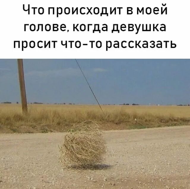 Расскажи что нибудь новое