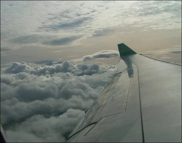Самолет над облаками. Крыло самолета в воздухе. Самолет вверх дном. Самолет крыло сша. Крыло самолета в воздухе.