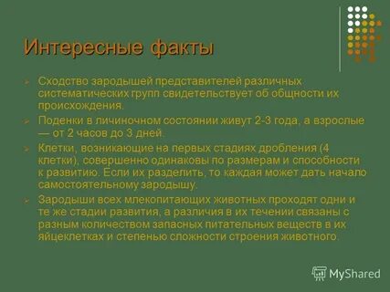 Сходства и различия зародышей