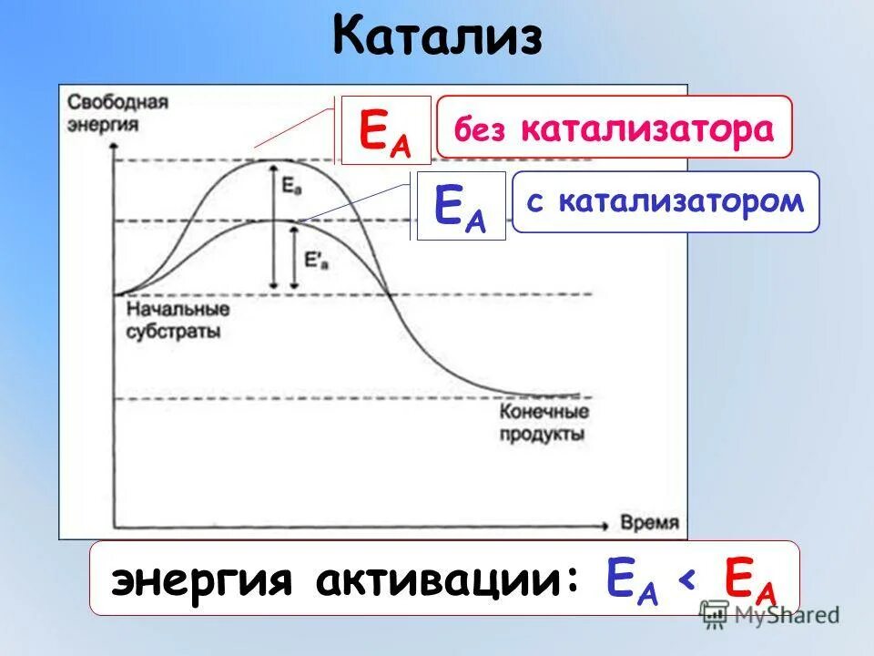 Роль катализа. Энергия активации и катализатор. Энергия активации реакции катализатора. Энергия активации катализ. Катализ график.