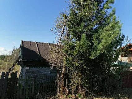 Садоводства зеленогорска красноярского края