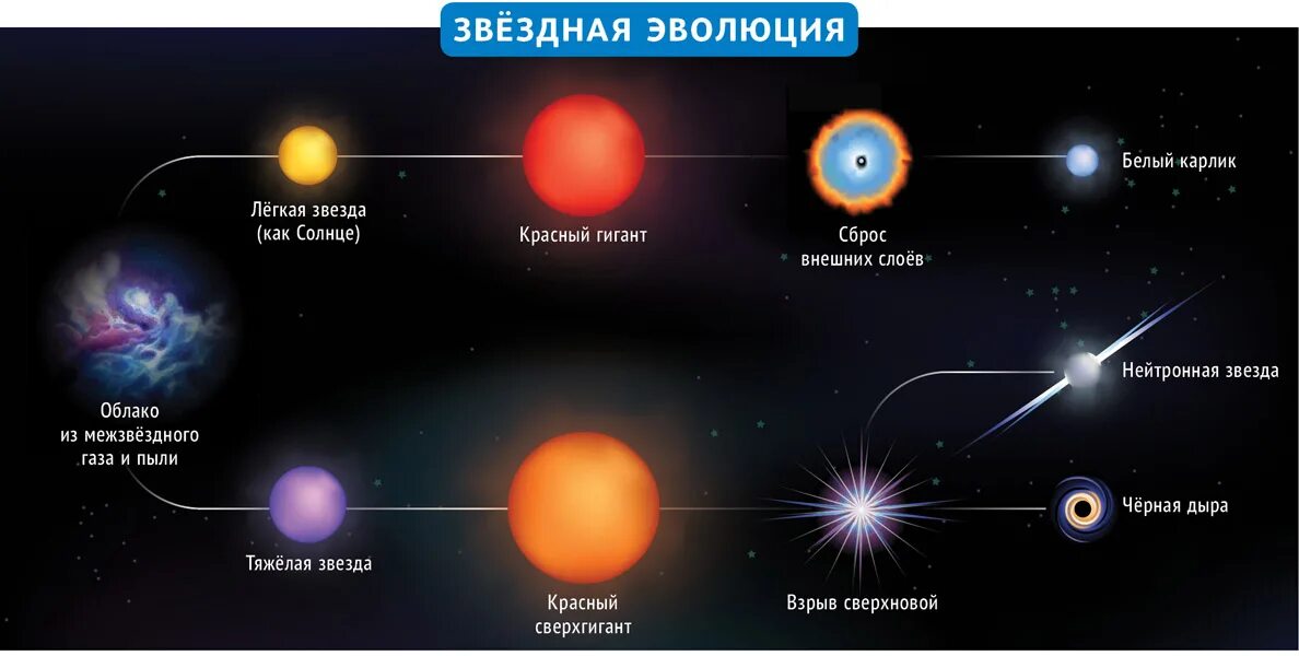 Жизненный цикл звезды схема. Сзема Звёздной эволюции. Этапы формирования звезды схема. Этапы эволюции звезд.