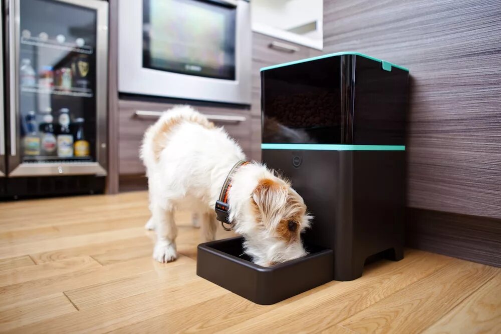 Petnet Smart Feeder. Робот для домашних животных. Умный дом для питомца. Гаджеты для животных. Build a pet