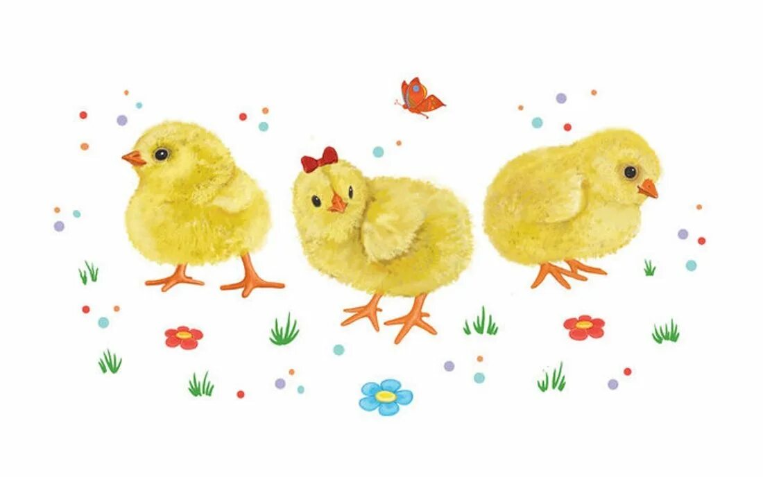 Цып цып зарядка. Цыпленок для детей. Цыпленок рисунок. Цыпленок рисунок для детей. Цыпленок на белом фоне.