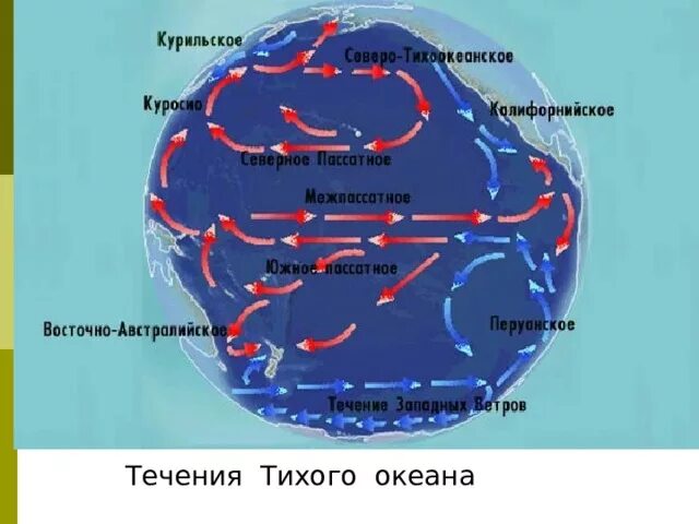 Карта течений Тихого океана. Океанические течения Тихого океана 7 класс. Течения Тихого океана 7 класс. Круговороты течений в тихом океане.