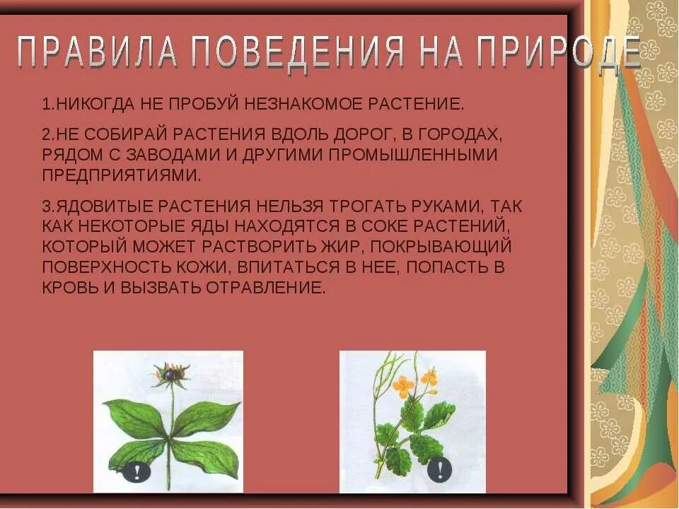 Памятка ядовитые растения 4 класс. Признаки ядовитии растений. Памятка ядовитые рассте. Памятка ядовитые растения 4 класс. Памятка ядовитые растения 4 класс.