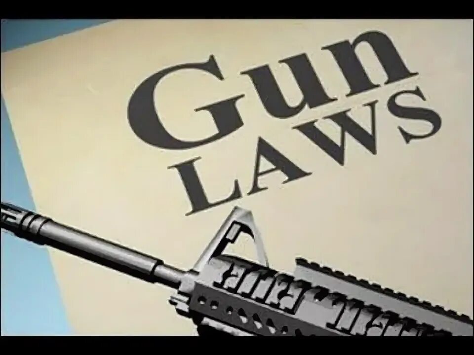 Outlaw Gun. Вирджиния Ганс. Law Control. More Gun. Control law