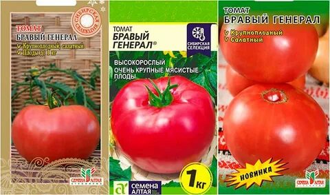 Томат бравый