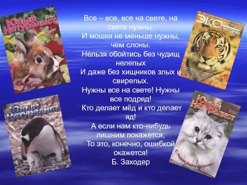 Все все все на свете. Все на свете нужны. Стих все все все на свете нужны. Нужны все на свете нужны все подряд кто делает.