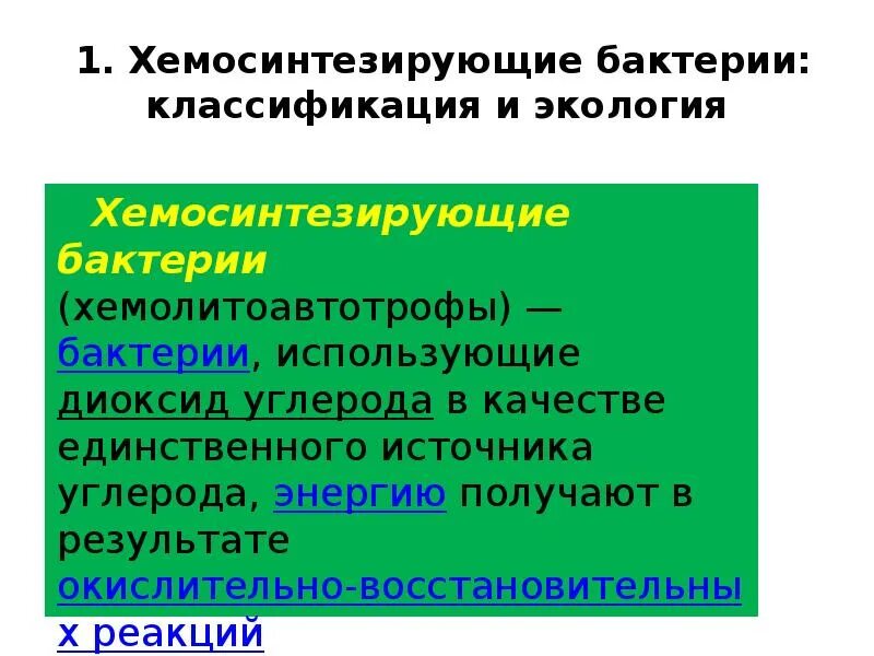 К хемосинтезирующим бактериям относят. Хемосинтезирующие бактерии. Хемосинтезирующие бактерии примеры. Виды хемосинтезирующих бактерий. Роль хемосинтезирующих бактерий.