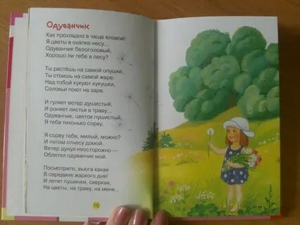 Высотская одуванчик