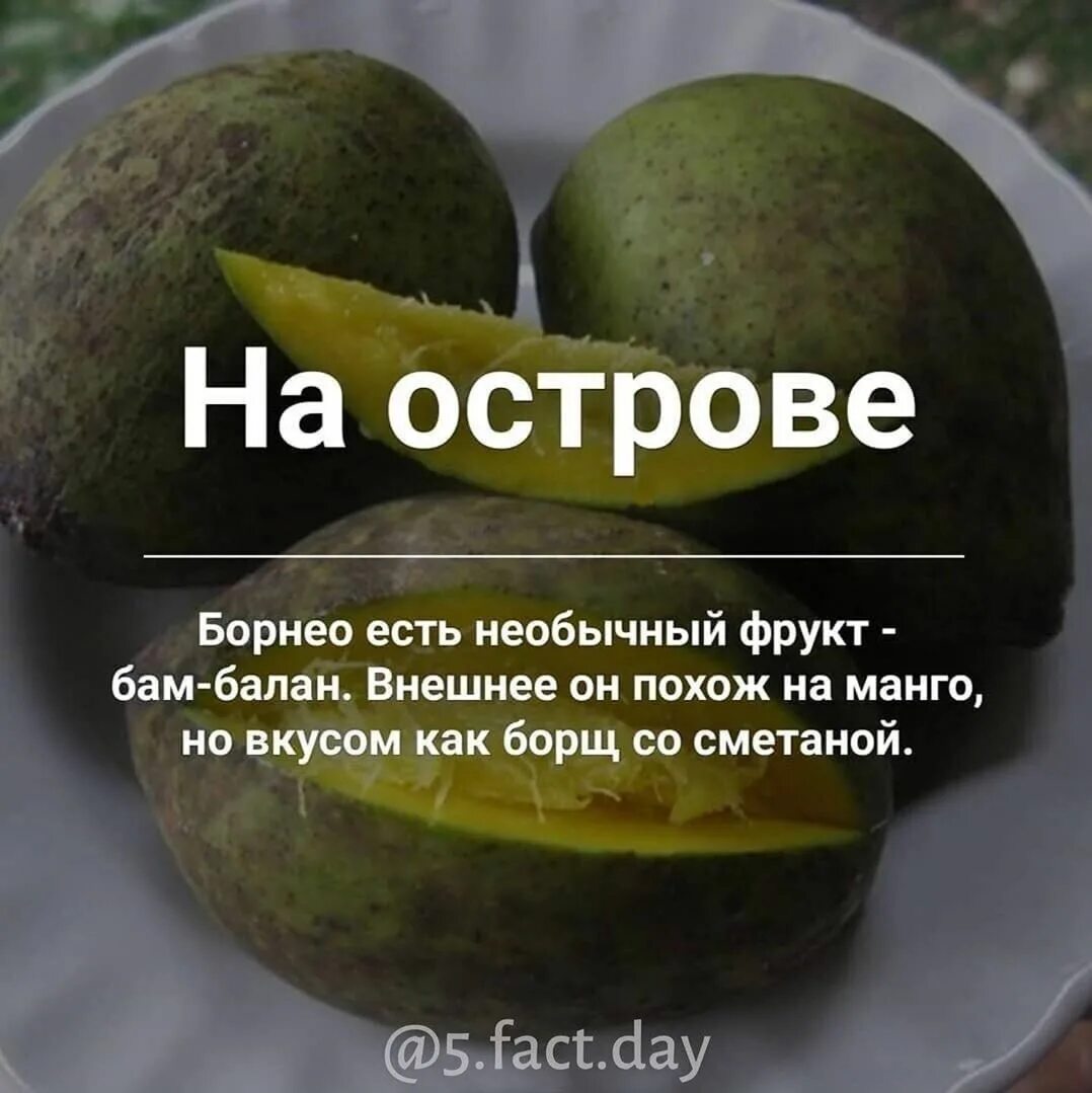 Бам балан фрукт который по вкусу напоминает. Интересные смешные факты. Интересные факты о еде. Полезные факты. Удивительные факты прикол.