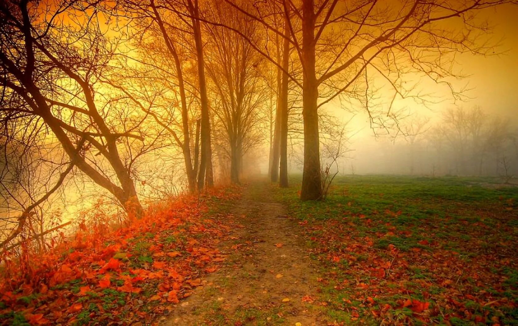 Beautiful Colors. Seasons after Fall. Any photos. Autumn Color field. Seasons are beautiful