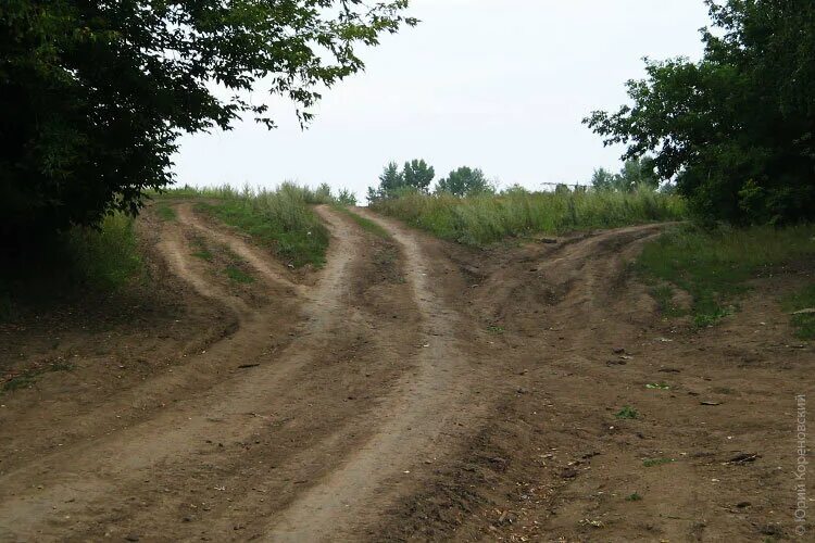 Между трех дорог. Развилка 3 дороги. Дорога с развилкой. Перекресток трех дорог. Перепутье дорог.