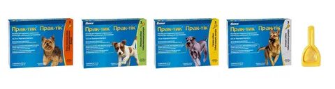 Прак тик от клещей для собак