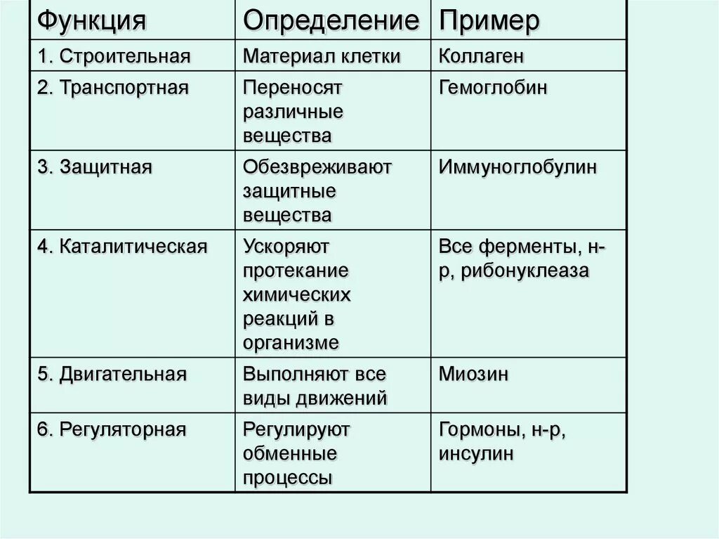 Строение и функции белков. Строение и функции белков таблица. Строение и функции белков 10 класс. Функции белка таблица.