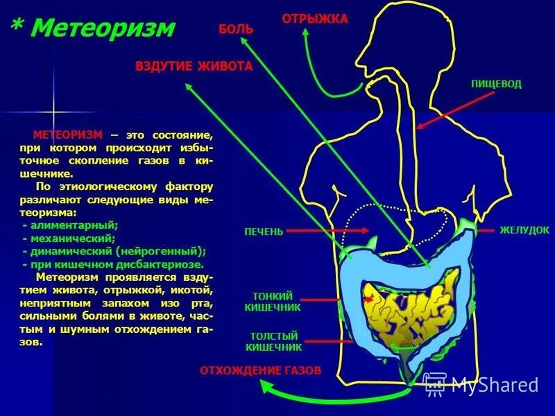 Сильно пучит живот и газы. Метеоризм. Скопление газов в кишечнике. Образование газов в кишечнике.